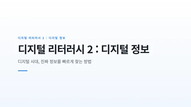 디지털 리터러시 2 : 디지털 정보